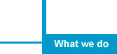 What we do